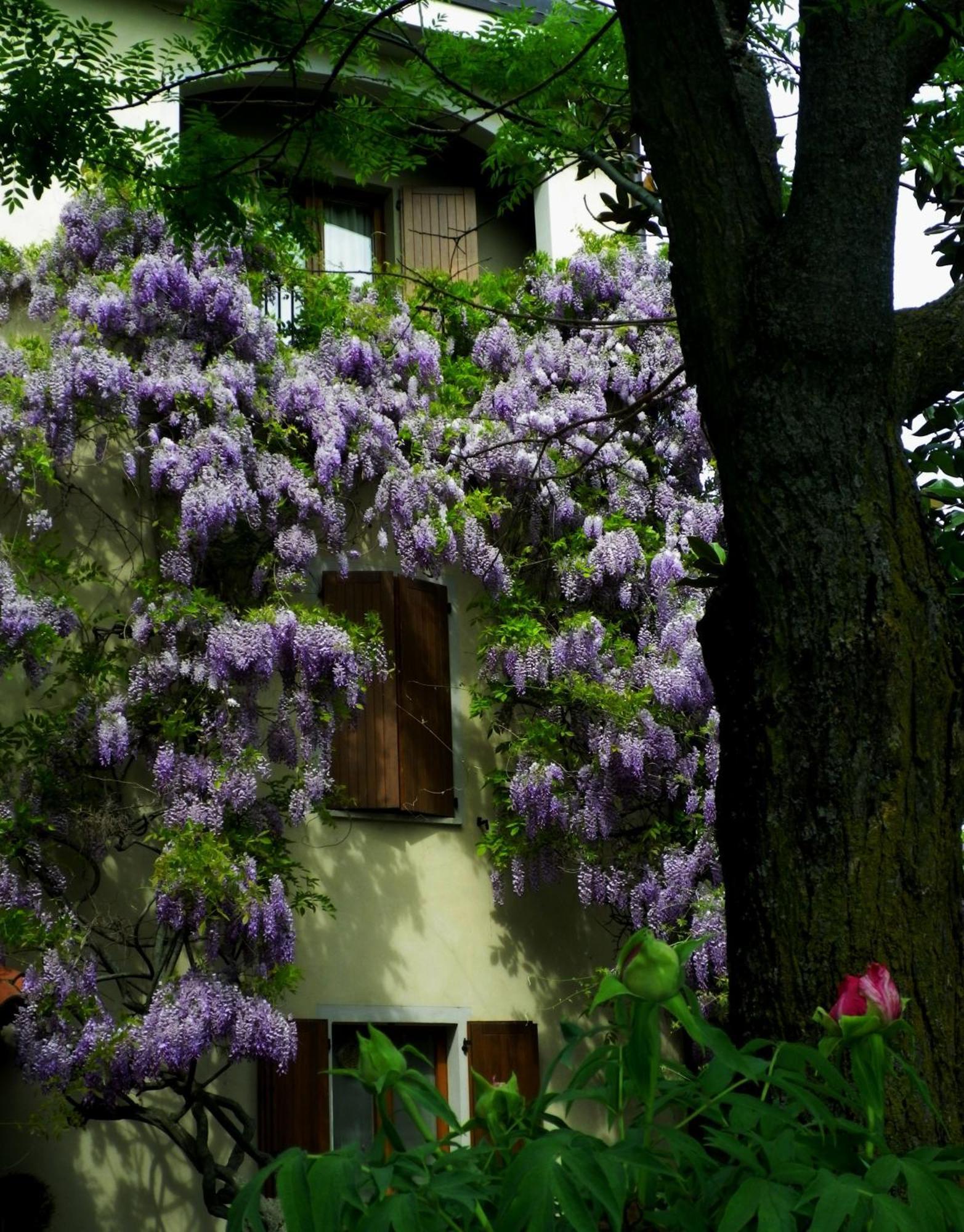 Le Querce Hotel Salsomaggiore Terme Bagian luar foto